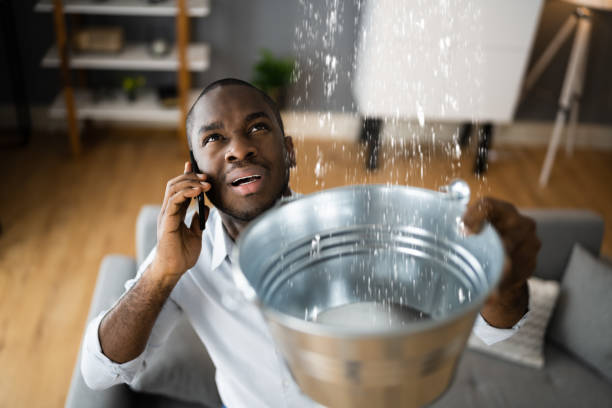 Best Mold removal after water damage  in Westby, WI