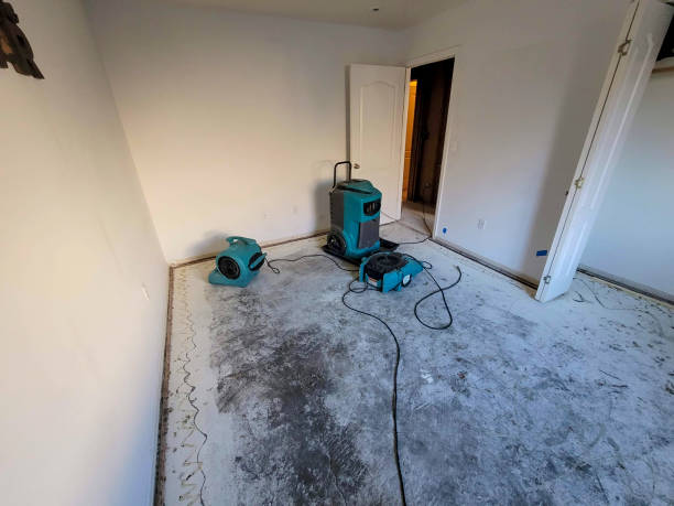 Best Emergency water damage restoration  in Westby, WI