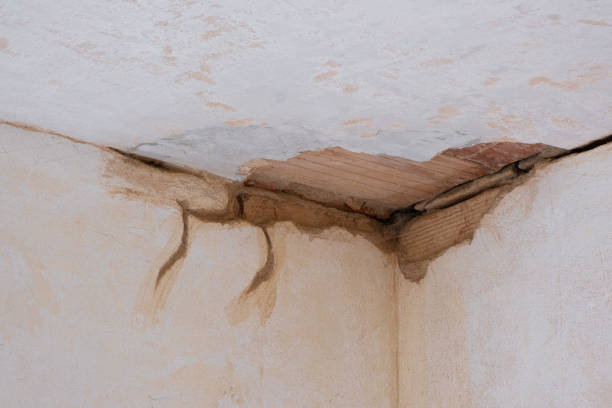 Best Flooded house restoration  in Westby, WI
