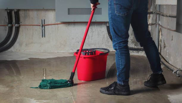 Best Commercial water damage restoration  in Westby, WI