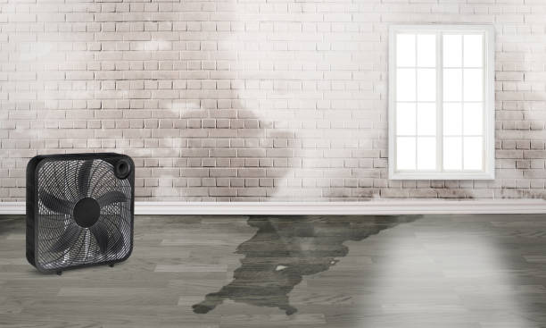 Best Residential water damage restoration  in Westby, WI