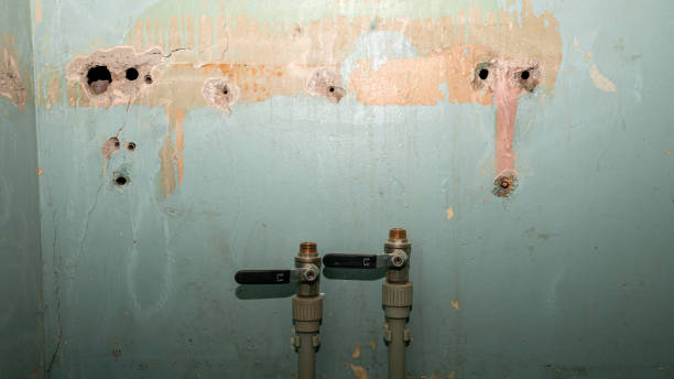 Best 24/7 water damage repair  in Westby, WI