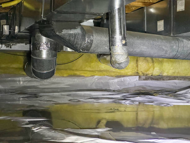 Best Water damage contractors near me  in Westby, WI