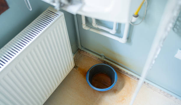 Best Flood damage cleanup  in Westby, WI